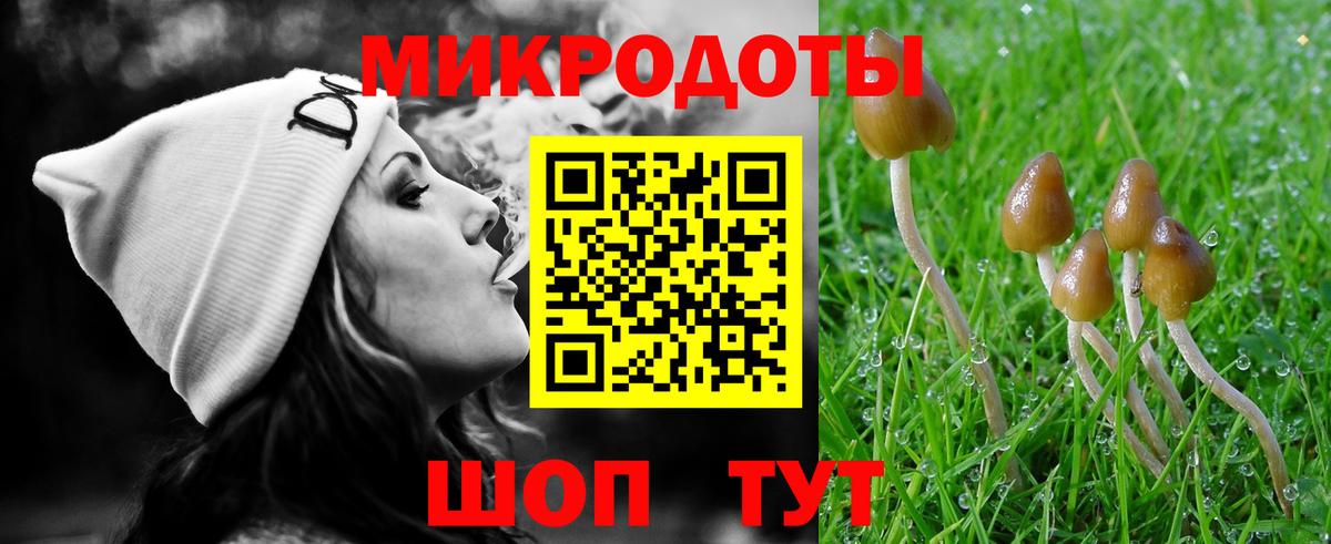 Галлюциногенные грибы MAGIC MUSHROOMS Карталы
